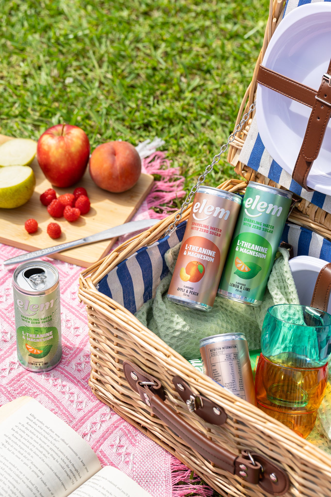 Elem Lemon & Lime Functional Sparkling Water